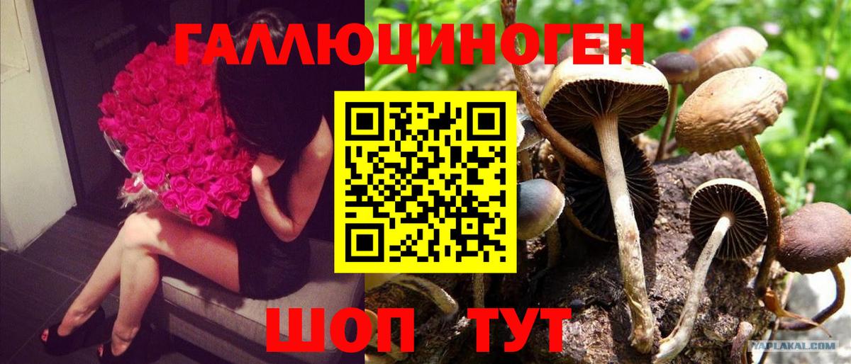 как найти закладки  Галлюциногенные грибы мицелий  Октябрьский  Вход с VPN  Псилоцибиновые грибы прущие грибы 